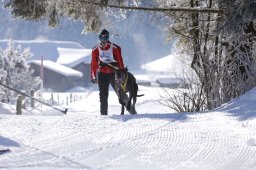 Lenk 2013